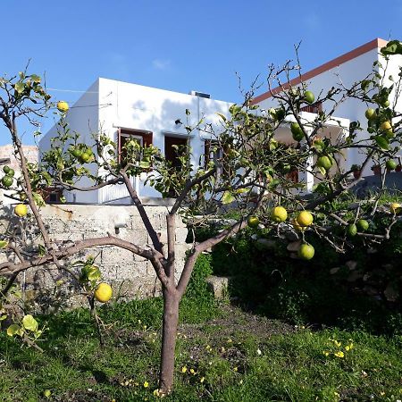 Maria Guesthouse Kíni Kültér fotó